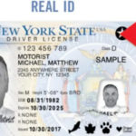 Se acerca fecha límite para licencia de conducir REAL ID en el estado de NY