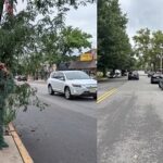 Policía en NJ con traje de arbusto de hojas falsas sorprende a 74 conductores distraídos con sus celulares 