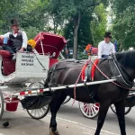 A todo galope batalla por carruajes de caballos en Central Park