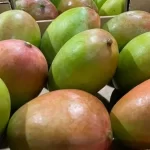 Retiran del mercado de NY, NJ, CT y PA mangos por riesgo de salmonela
