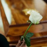 Familias demandan por $18 millones a funeraria de Nueva York tras presunto intercambio de cuerpos
